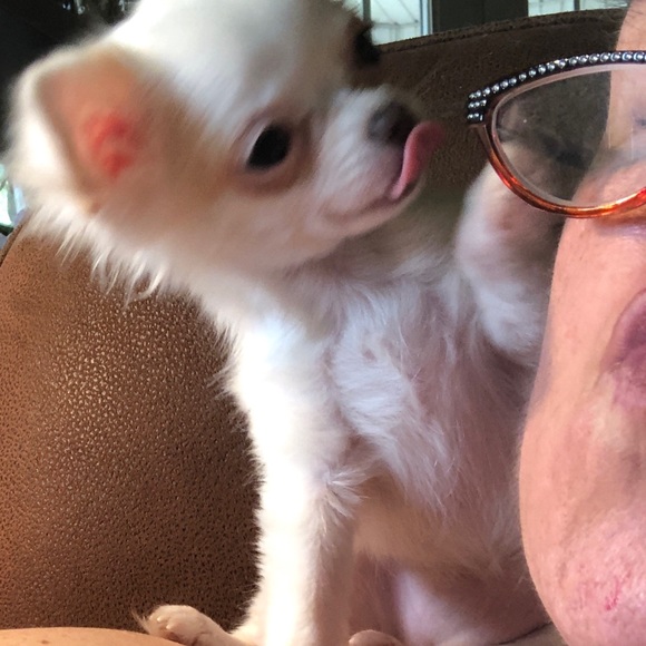 Meet your Posher, Genji - Picture 14 of 16